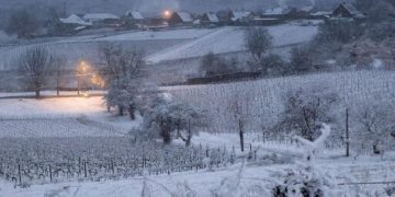 «25 января на Кубани будет самым аномальным в XXI веке». К чему готовиться?