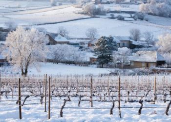 Зима пришла на Кубань всерьез и надолго. Когда ударят 20-градусные морозы?