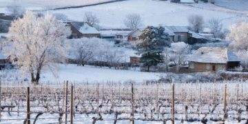 Зима пришла на Кубань всерьез и надолго. Когда ударят 20-градусные морозы?