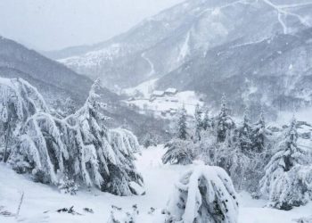 Снежный армагеддон докатится до Кубани. Синоптик прогнозирует погодную эпопею