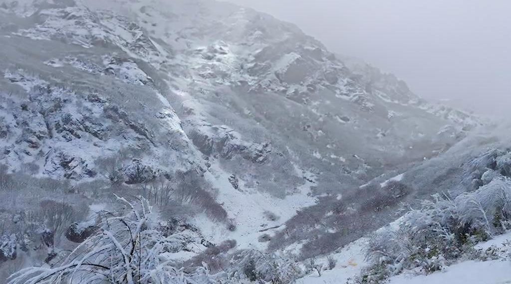 Прогноз погоды от ЦГМС на четверг 22 января в Краснодарском крае