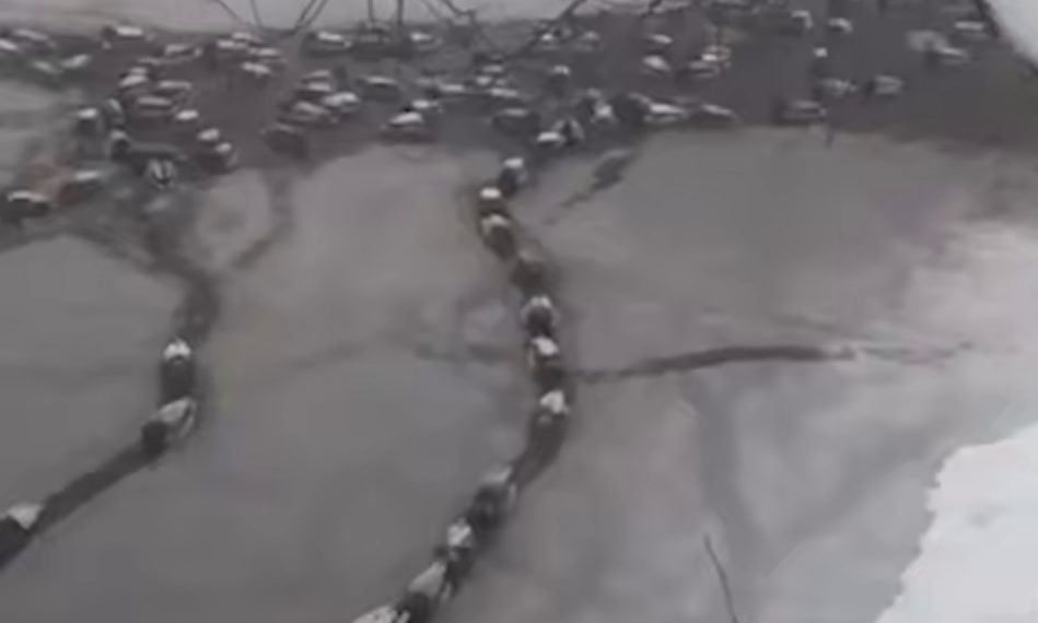 Из-за снегопада краснодарские утки стоят в пробках