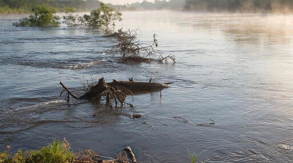 На Кубани произошел подъем уровня рек в нескольких муниципалитетах