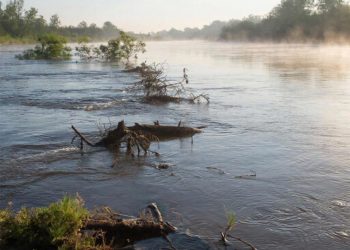 На Кубани произошел подъем уровня рек в нескольких муниципалитетах