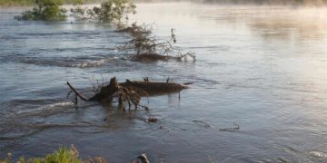 Уровень рек поднялся в четырех районах Кубани