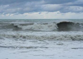 Штормовое предупреждение объявлено в Сочи и «Сириусе» на 8 января