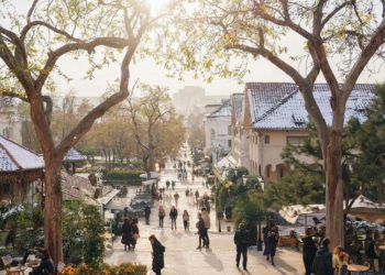 Прогноз погоды на неделю с 12 по 18 января в Краснодарском крае