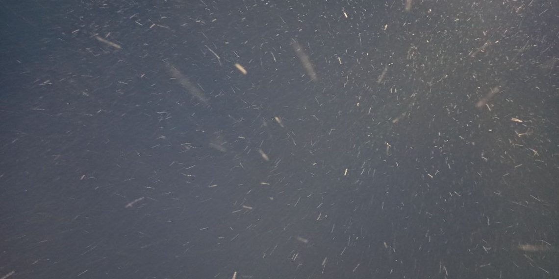 Прогноз погоды на вторник 27 января в Краснодарском крае