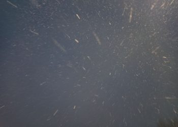 Прогноз погоды на вторник 27 января в Краснодарском крае