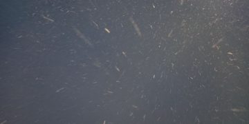 Прогноз погоды на вторник 27 января в Краснодарском крае