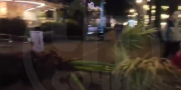 В центре Сочи упала пальма на пешеходной улице Навагинской