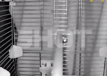 «Офигеть просто»: жители Кубани в шоке от силы ночного жуткого землетрясения