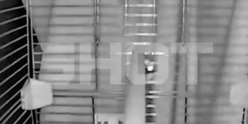 «Офигеть просто»: жители Кубани в шоке от силы ночного жуткого землетрясения