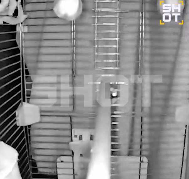 «Офигеть просто»: жители Кубани в шоке от силы ночного жуткого землетрясения