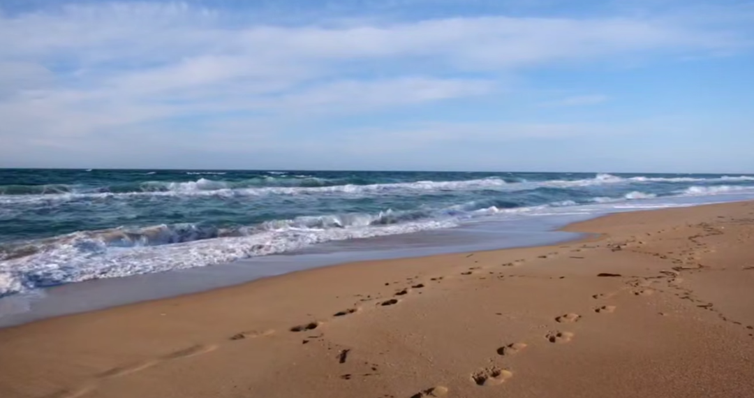 В Анапе завершился второй этап очистки косы между Витязево и Благовещенской