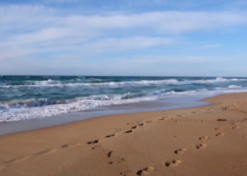 В Анапе завершился второй этап очистки косы между Витязево и Благовещенской