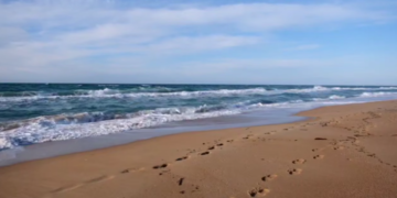 В Анапе завершился второй этап очистки косы между Витязево и Благовещенской