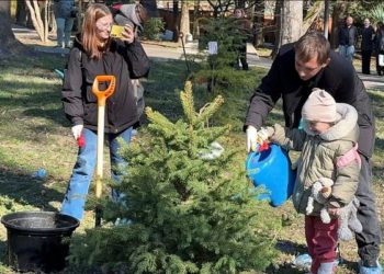 В Сочи заложили «Аллею памяти» в честь погибших участников СВО