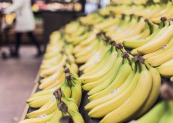 Сочи ждет тропический бум: бананы и фейхоа вытеснят привычные культуры