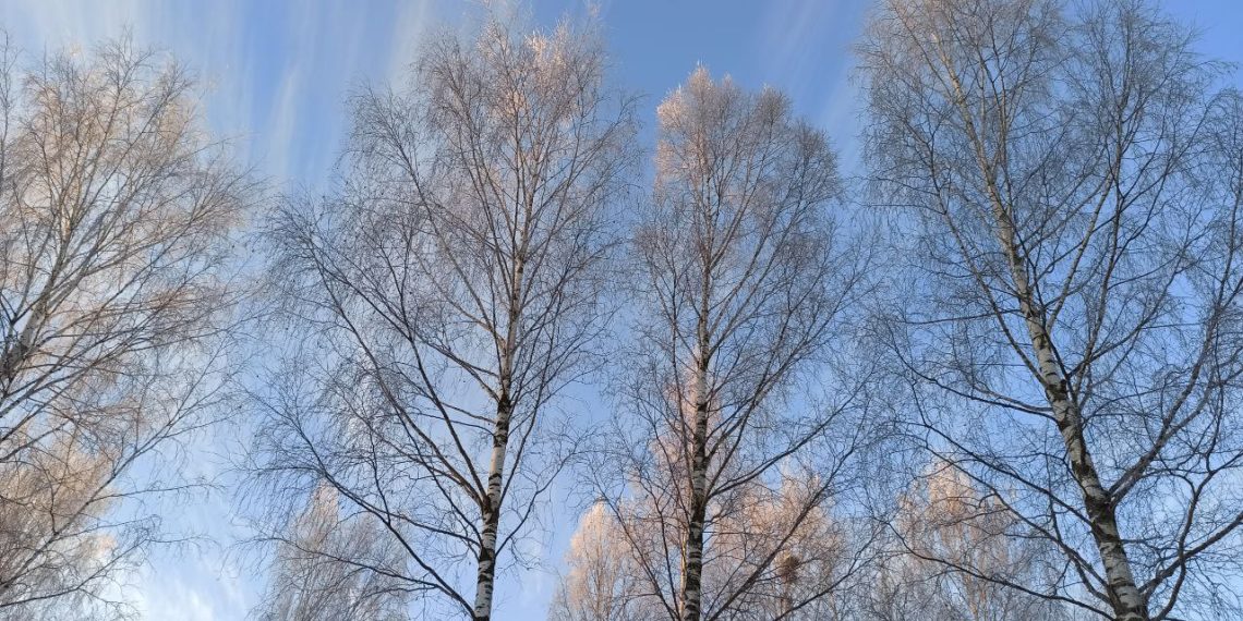 Прогноз погоды на неделю с 23 февраля по 1 марта на Кубани