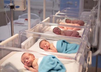 В Сочи за сутки семьи пополнились 14 новыми жителями