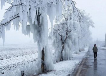 Прогноз погоды на четверг и пятницу 26 и 27 февраля в Краснодарском крае