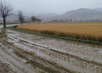 Прогноз погоды на среду 25 февраля в Краснодарском крае