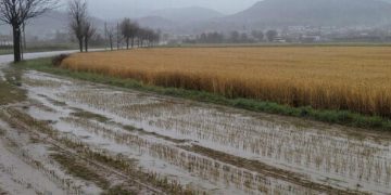 Прогноз погоды на среду 25 февраля в Краснодарском крае