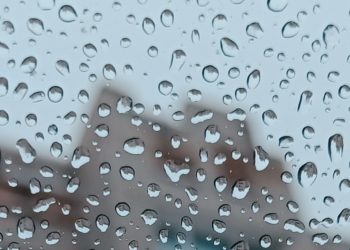 Прогноз погоды на воскресенье и понедельник 15 и 16 февраля на Кубани