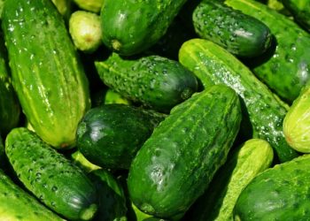 Огурцы и помидоры бьют по кошельку кубанцев из-за морозов и счетов за свет