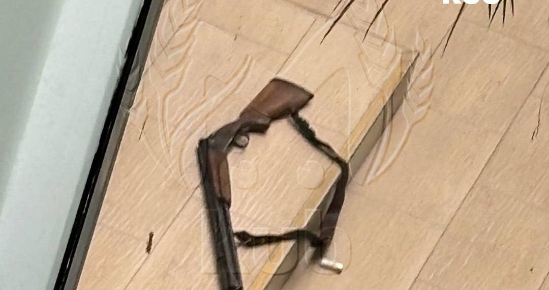 Оружие для стрельбы в техникуме Анапы студент украл у собственного деда