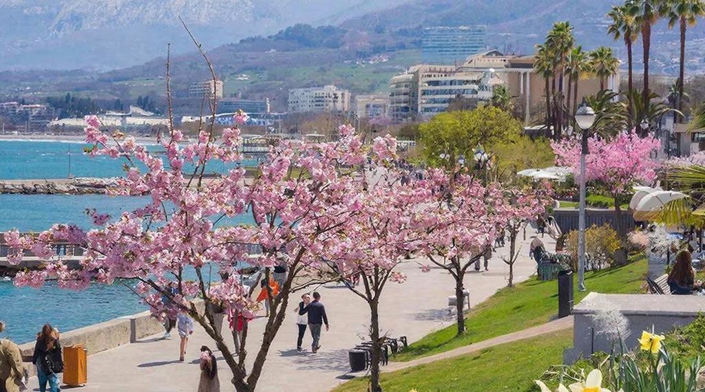 Выпущен прогноз на первую половину марта в Краснодарском крае