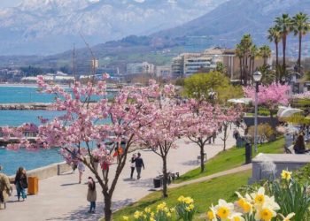 Выпущен прогноз на первую половину марта в Краснодарском крае