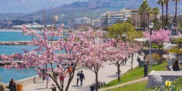 Выпущен прогноз на первую половину марта в Краснодарском крае