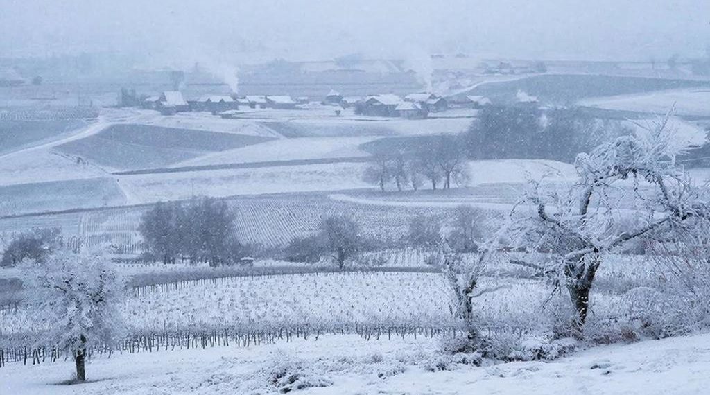 Последний зимний день на Кубани принесет сильный ветер и мокрый снег