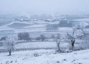 Последний зимний день на Кубани принесет сильный ветер и мокрый снег