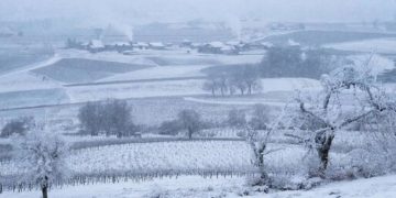 Последний зимний день на Кубани принесет сильный ветер и мокрый снег