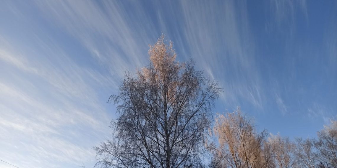 Массированная атака БПЛА на Кубань и регионы РФ: главное к утру 21 февраля