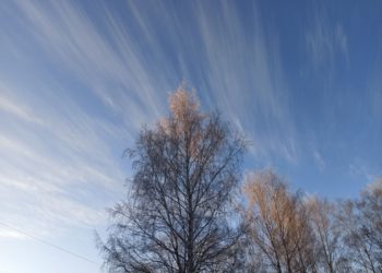 Массированная атака БПЛА на Кубань и регионы РФ: главное к утру 21 февраля