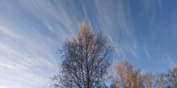 Массированная атака БПЛА на Кубань и регионы РФ: главное к утру 21 февраля