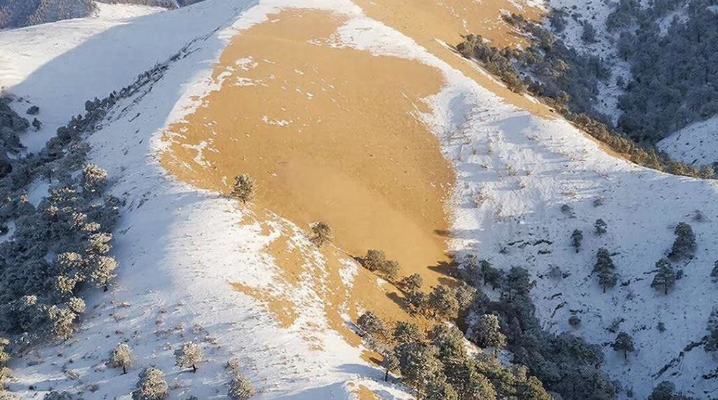 Снег в горах Сочи окрасился в жёлтый цвет из-за песка из Сахары
