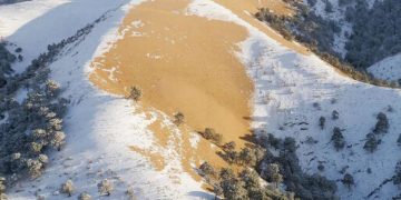 Снег в горах Сочи окрасился в жёлтый цвет из-за песка из Сахары