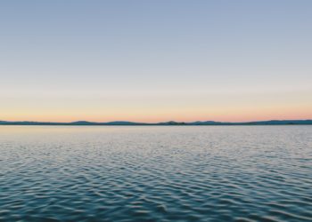 В День всех влюбленных в Сочи вместо серенад зазвучат выстрелы в морском порту