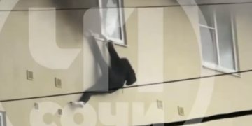 Глава СКР взял на контроль дело о гибели женщины в Сочи после обращения матери