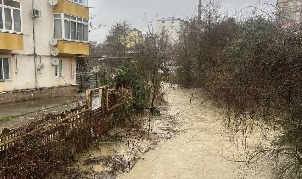 Полная Херота успокоилась в Сочи