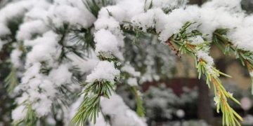 В Сочи объявили штормовое предупрежден из-за мощного снежного циклона