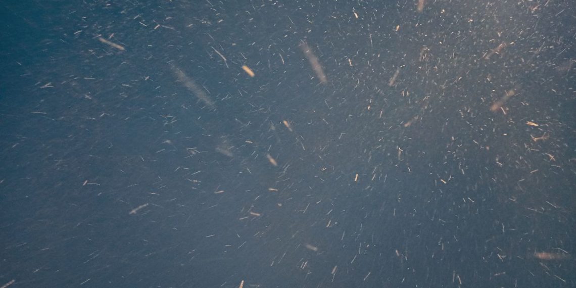 Прогноз погоды на среду и четверг 11 и 12 февраля на Кубани