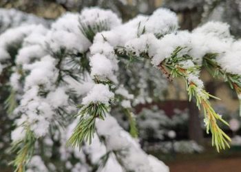 В предгорьях Сочи ожидается гололед и мокрый снег с вечера 25 февраля