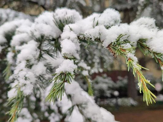 В горах Сочи ожидается сильный снег 3 февраля