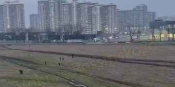 В Краснодаре стая бродячих собак напала на детей